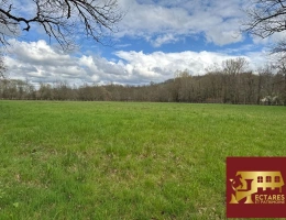 Vignette - Rural - Terrain agricole, 3 hectares avec boxes et carrière