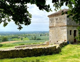 Vignette - Prestige - Ensemble de charme & de caractère : château, conciergerie & tour de guêt du XVIIIème près de Saint-Clar (32)