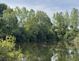 Vignette - Rurale - A VENDRE : Magnifique propriété d’agrément sur les Bords de l’Yonne