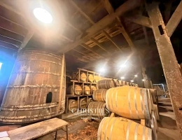 Vignette - Viticole - Propriété d'exception au coeur du Gers - Vignoble et maison d'Armagnac