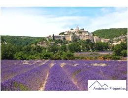 Vignette - Viticole - À Vendre : Domaine Viticole en Viager Libre dans le Var (83)