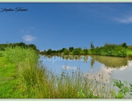 Vignette - Rural - Terrain à vendre de 31 710,00 m² BOULT AUX BOIS (08)