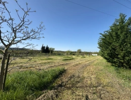 Vignette - Rurale - Terrain de loisirs de 2600m² à vendre à COLLIAS (30) - Environnement naturel privilégié