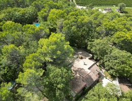 Vignette - Rural - Havre de Paix au Coeur de la Forêt - Propriété d'Exception à Pernes-les-Fontaines
