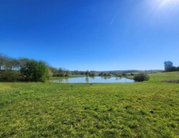 Vignette - Rurale - Terrain  avec étang de pêche en campagne -  3.54 ha- à vendre - VILLENEUVE SUR LOT (47)