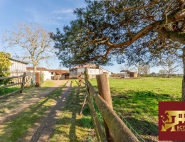 Vignette - Équestre - 3,5 hectares et habitation rénovée