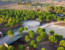Vignette - Equestrian - Property of 4.5 ha - Hérault (34)