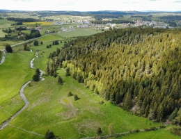 Vignette - Forestière - Forêt de production cœur de la Margeride lozérienne