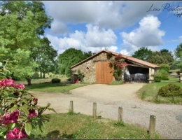 Vignette - Touristique - Domaine d'exception - CHAVAGNES EN PAILLERS (85) - 2 maisons d'habitations ainsi que 2 gîtes avec piscine