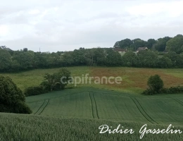 Vignette - Agricole - Terrain à vendre  BRUNELLES (28)