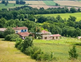 Vignette - Equestrian - EXCEPTIONAL ECO-ESTATE NEAR CORDES-SUR-CIEL - 2 HOUSES + OUTBUILDINGS