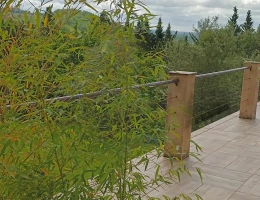 Vignette - Rurale - la campagne prés de la ville