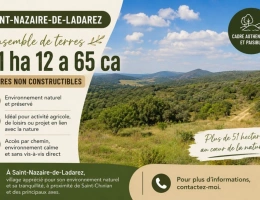 Vignette - Agricole - SAINT-NAZAIRE-DE-LADAREZ  (34) – Ensemble de terres de 51 ha 12 a 65 ca