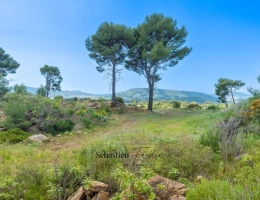 Vignette - Agricole - Terrain Agricole à vendre (83) - Vue panoramique - Accès facile - Alimentée par le canal de Provence