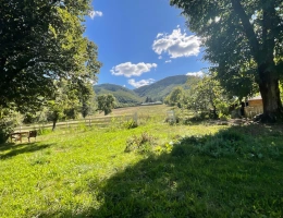 Vignette - Rurale - Propriete à vendre 13 pièces AIGUEFONDE (81)