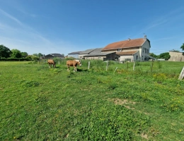 Vignette - Prestigious - PROPERTY for sale, 8 rooms, near NANCY (54) on 2.5 HECTARES - AGRICULTURAL PROPERTY with renovated F