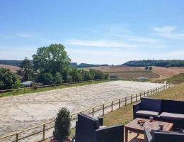 Vignette - Équestre - Spacieuse maison de trois chambres avec chalet et grand jardin arboré