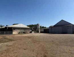 Vignette - Agricole - Briec-sur-Odet, aux portes de Quimper – Exploitation porcine avec fort potentiel de développement