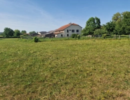 Vignette - Equestrian - PROPERTY for sale, 8 rooms, near NANCY (54) on 2.5 HECTARES - AGRICULTURAL PROPERTY with renovated F