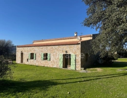 Vignette - Agricultural - EXCLUSIVE: Near L'ILE ROUSSE, Plaine du Reginu, stone property with 5 bedrooms, 161 m² on 1.96 ha of