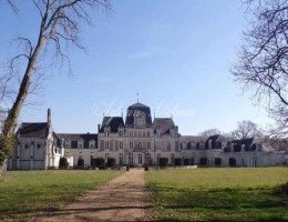 Vignette - Prestigious - Propriete à vendre 45 pièces proche de ANGERS (49)
