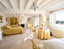 Vignette - Rural - Property for sale - SAINT MAURICE SUR FESSARD (45)