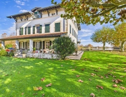 Vignette - Equestrian - Estate