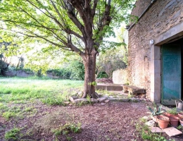 Vignette - Prestige - Maison Vigneronne avec jardin