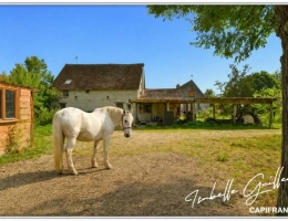 Vignette - Équestre - Propriéte à vendre : 2 maisons et 4.5 hectares TOUCHAY (18)