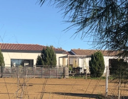 Vignette - Équestre - Charmante propriété équestre de 3,5 hectares (34)