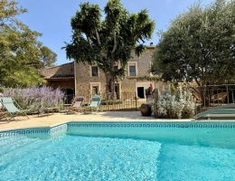 Vignette - Prestige - Maison de Maitre  à vendre 9 pièces CARCASSONNE (11)  sur 233m2 habitables , 5 chambres, garage, piscine terrain 1100m2