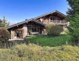Vignette - Prestige - Chalet typique en Bois