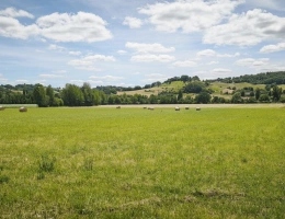 Vignette - Agricole - Propriété agricole au calme dans le Tarn-et-Garonne