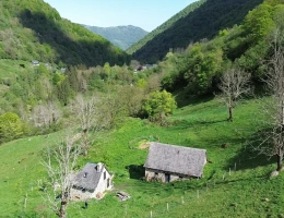 Vignette - Prestige - Propriété rurale,3 granges,5 Ha,source,09800