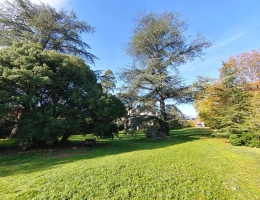 Vignette - Prestige - Magnifique maison de maître avec parc arboré - Millau