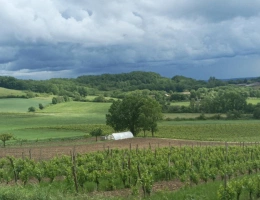 Vignette - Agricole - Propriété agricole Lot et Garonne  de 47 ha ainsi qu'une maison en pierre de 150 m2 à rénover