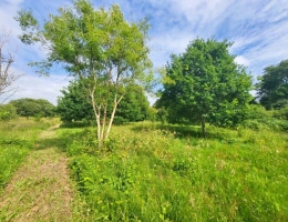 Vignette - Rurale - Terrain à vendre  CROZON (29)