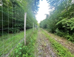 Vignette - Forestière - Propriété forestière de 20 ha en Haute-Saône
