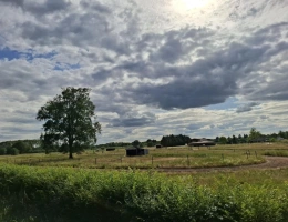 Vignette - Équestre - Propriété équestre de caractère sur plus de 5 hectares - S