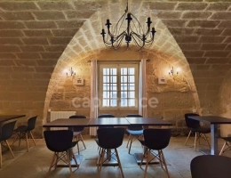 Vignette - Prestige - Dpt Gard (30), à vendre UZES propriete P14 de 548 m² - Terrain de 830,00 m²