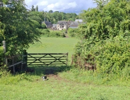 Vignette - Équestre - Propriété , maison dépendances et sur 1.9 hectare de terrain