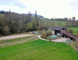 Vignette - Equestrian - Baisse de Prix - Écurie active - Propriété équestre avec f