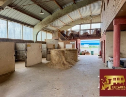 Vignette - Équestre - Centre équestre en activité proximité immédiate de Nantes