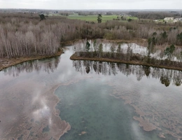 Vignette - Forest - PROPRIÉTÉ DE CHASSE ET PÊCHE : DEUX ÉTANGS ET PARCELLES BOISÉES