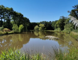 Vignette - Rurale - Etang et Mobil-home