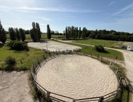 Vignette - Équestre - Centre équestre professionnel en Seine et Marne