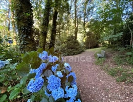 Vignette - Rural - Terrain en zone naturelle et forestière boisé et fleuri de 4 880,00 m² proche de QUIMPER (29)