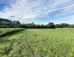 Vignette - Agricultural - Agricultural exploitation of 75ha including 70ha of valley land (with irrigation) in Dordogne (24)