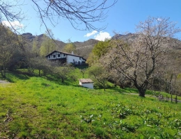 Vignette - Rurale - Propriete à vendre 7 pièces SARE (64)