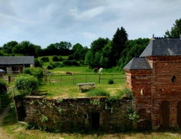 Vignette - Équestre - Propriété , maison dépendances et sur 1.9 hectare de terrain